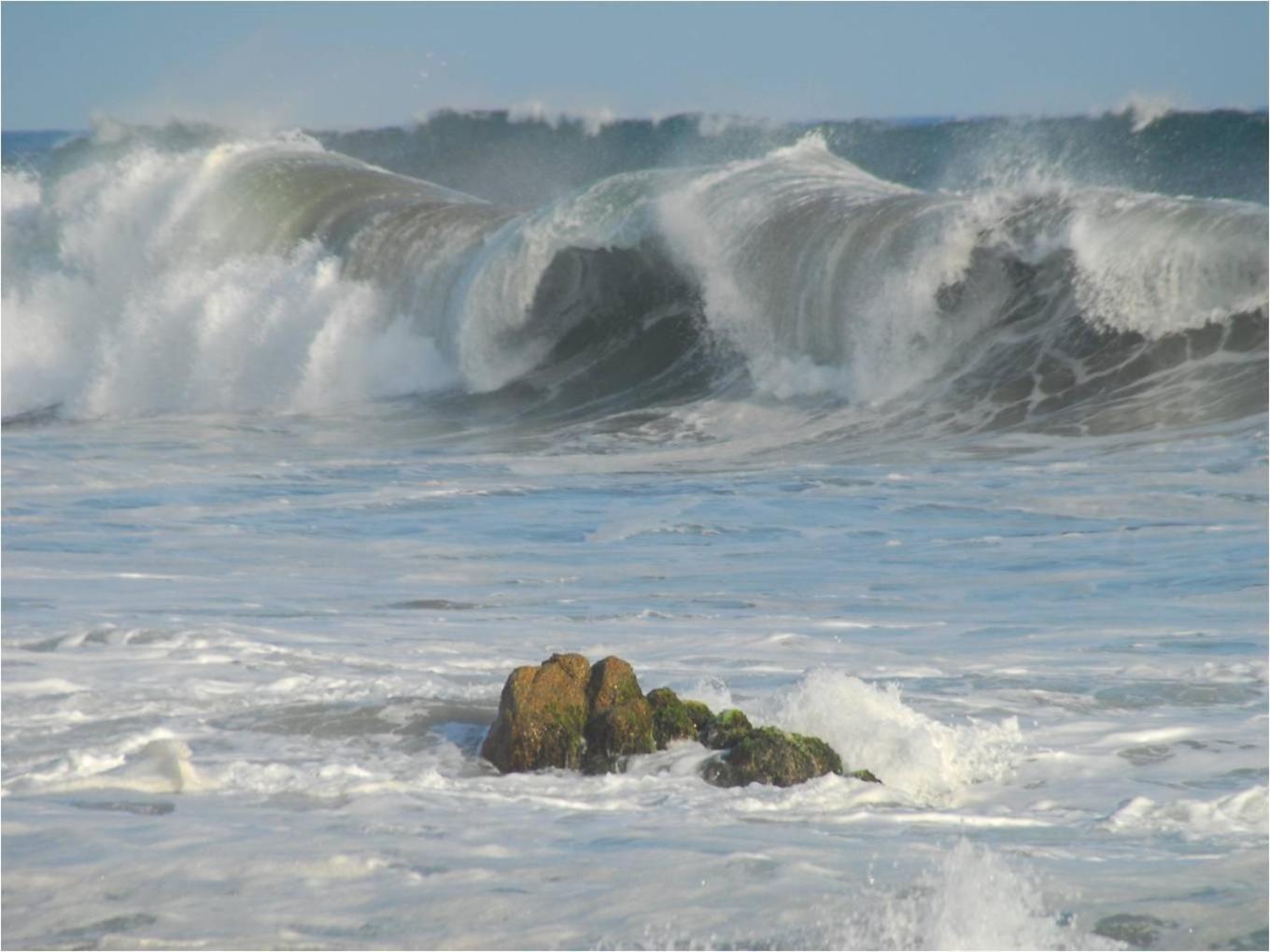 فندق Angel Del Mar Puerto Ángel المظهر الخارجي الصورة