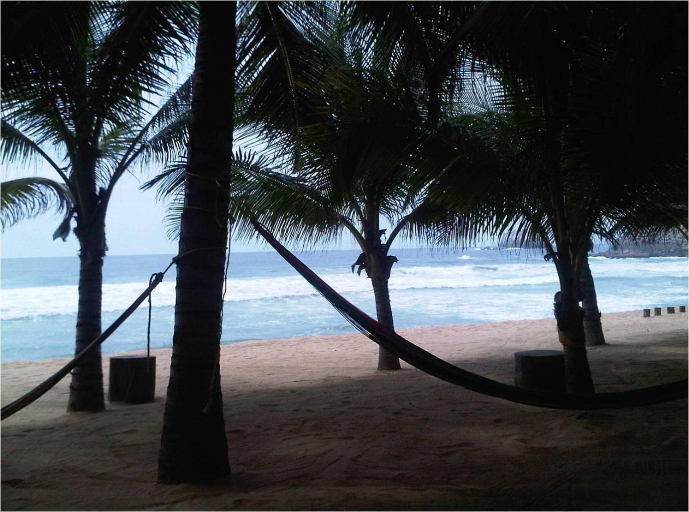 فندق Angel Del Mar Puerto Ángel المظهر الخارجي الصورة