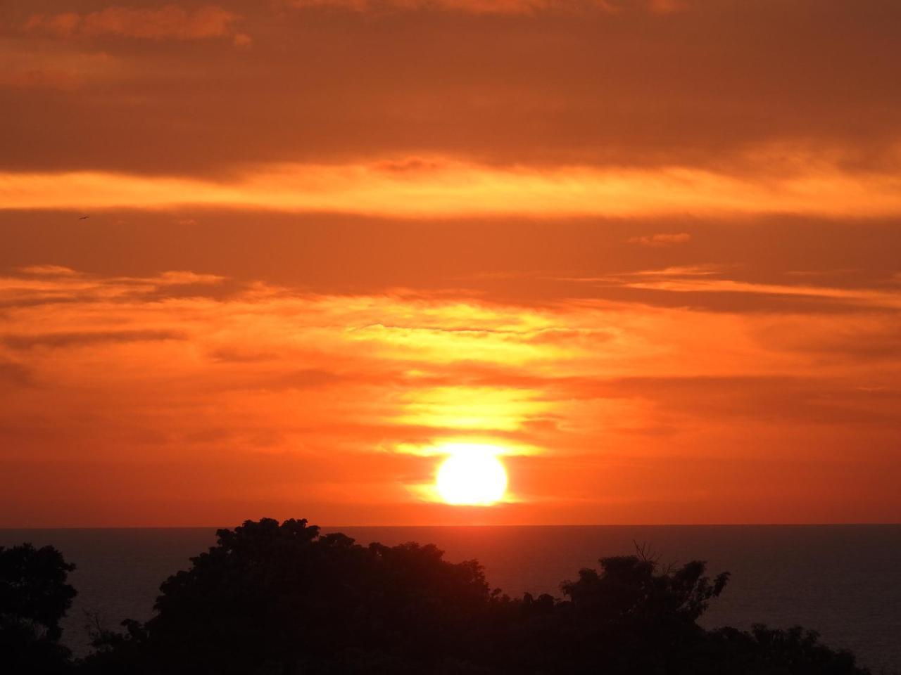 فندق Angel Del Mar Puerto Ángel المظهر الخارجي الصورة